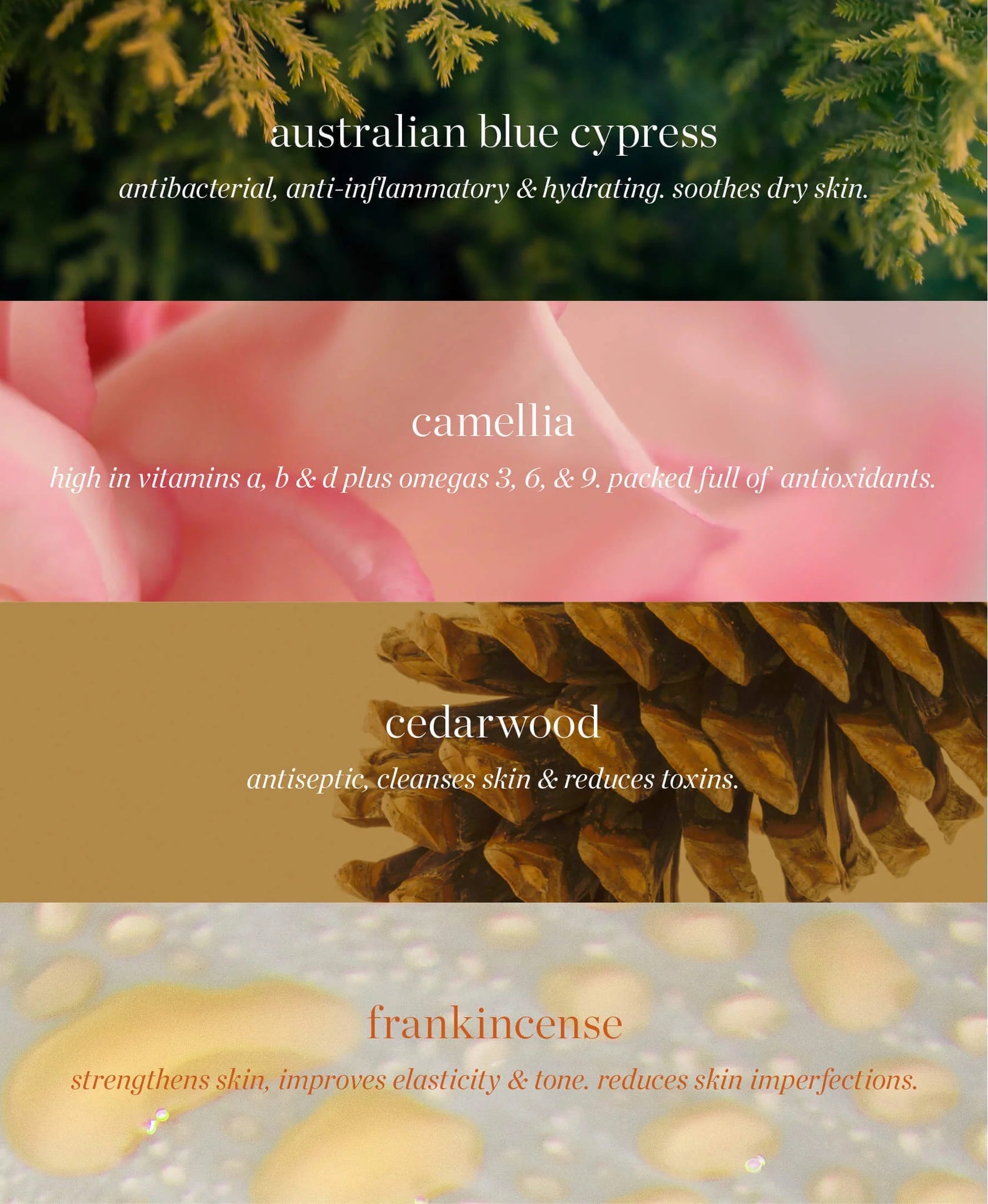 Ere Perez | Australian Blue Cypress Face Nectar