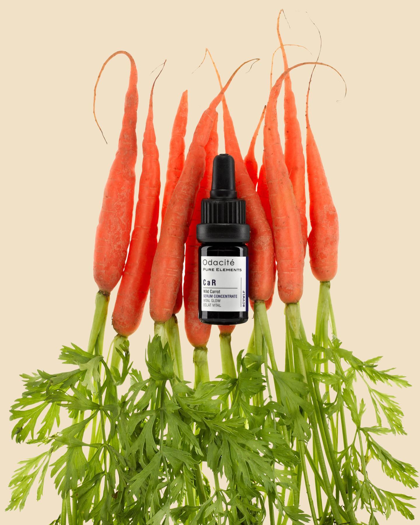 CaR Glow Serum Concentrate | Vitality | Wild Carrot